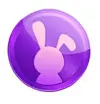 rockyrabbit